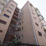 ...tra questi i mattoni in laterizio, i frangisole in cotto e gli infissi di legno che regalano �calore� agli edifici